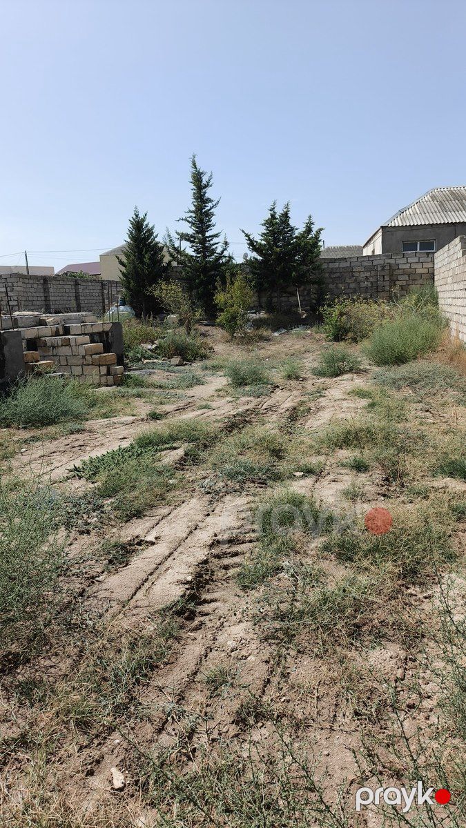Satılır torpaq 8 sot — Torpaq, Bakı (3)