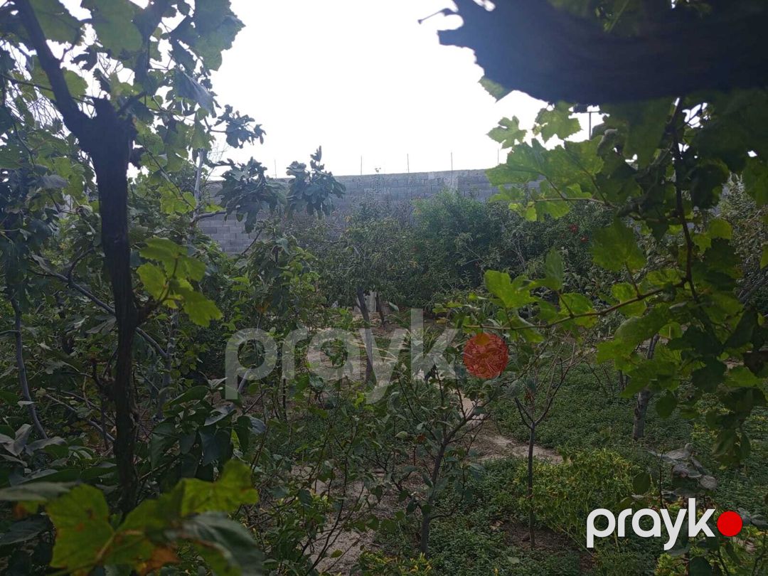 Həyət evi, Sumqayıt ş — Ev, villa, Sumqayıt (11)