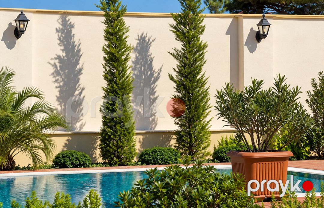 Satılır 6 otaqlı həyət evi/bağ evi 500 m² — Ev, villa, Bakı (6)