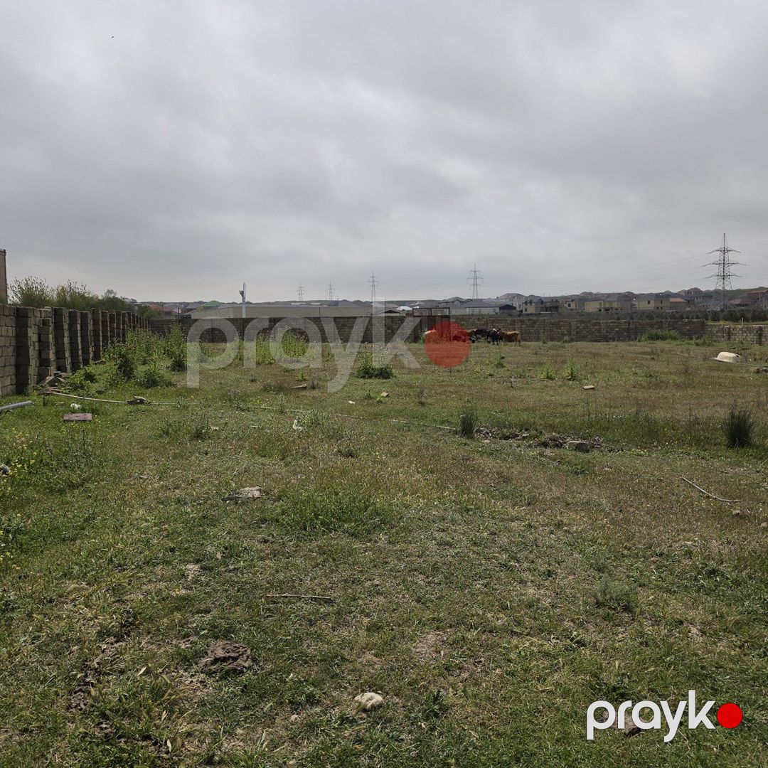 Satılır torpaq 100 sot — Torpaq, Bakı (9)