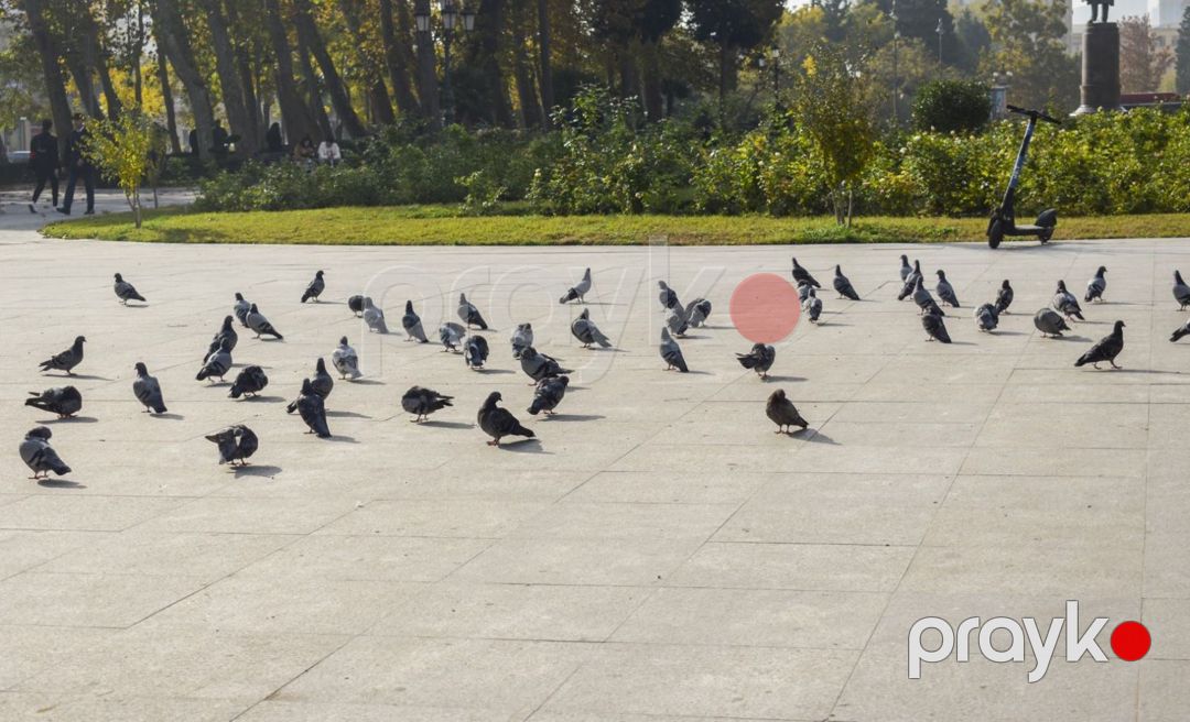 Satılır 3 otaqlı köhnə tikili 85 m² — Mənzil, Bakı (3)