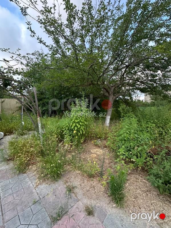 Satılır 3 otaqlı Həyət evi / Villa, 90 m², Qurd dərəsi — Ev, villa, Sumqayıt (7)