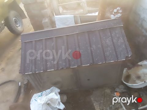 Salam 4 Erkey 1 dişidi hamsida kekilidi 2 dene de 2 ay yarımlıq — Digah
