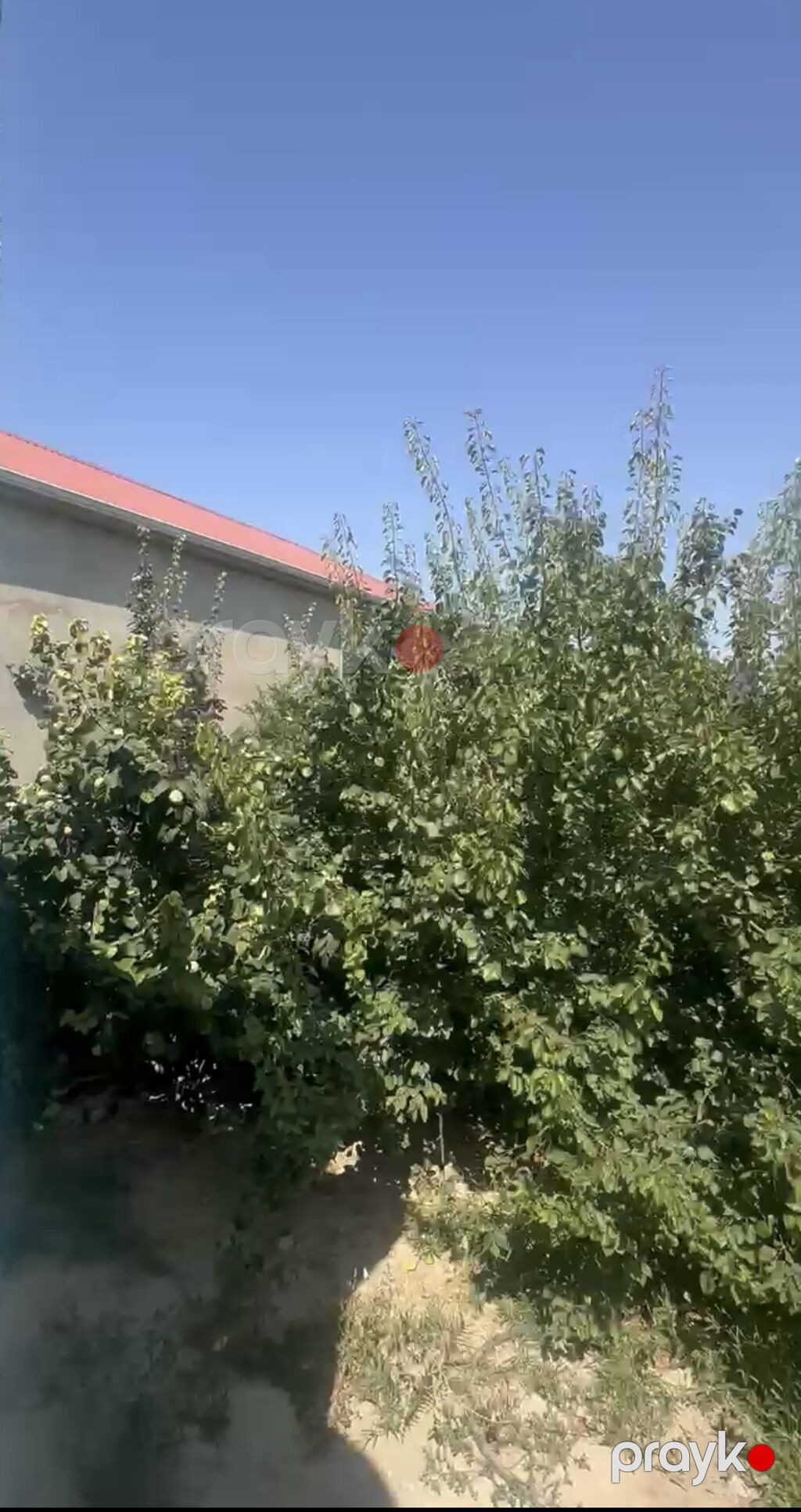 Masazırda 3 sotda paket kupça 6 nömrəli məktəbin yanı masazırın super — Ev, villa, Bakı (9)