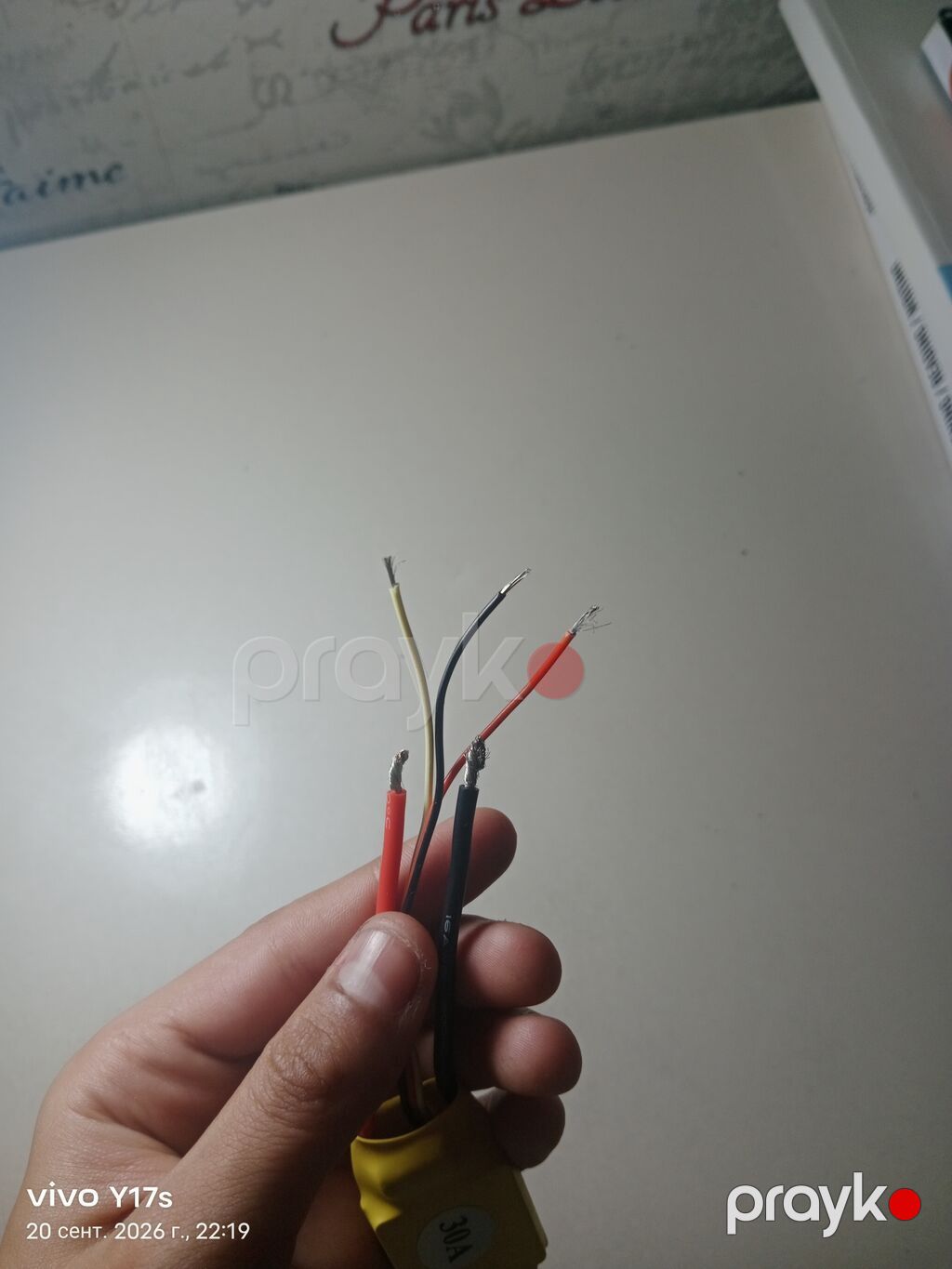Məhsul: 30A ESC (Elektron Sürət Nəzarətçisi) Təsvir: - Fırçasız — Studiya və konsert üçün, Bakı (2)