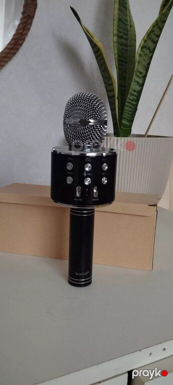 Karaoke mikrofonu — Bakı