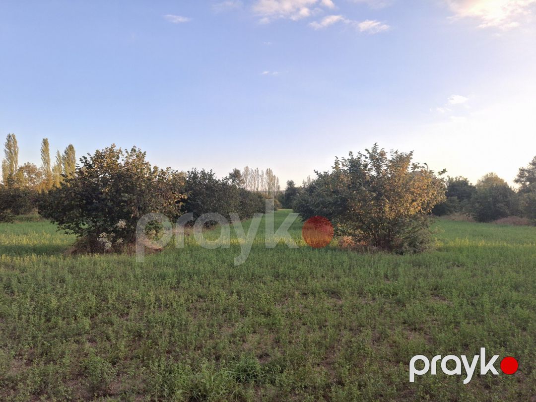 Satılır torpaq 1.8 sot — Torpaq, Oğuz (6)