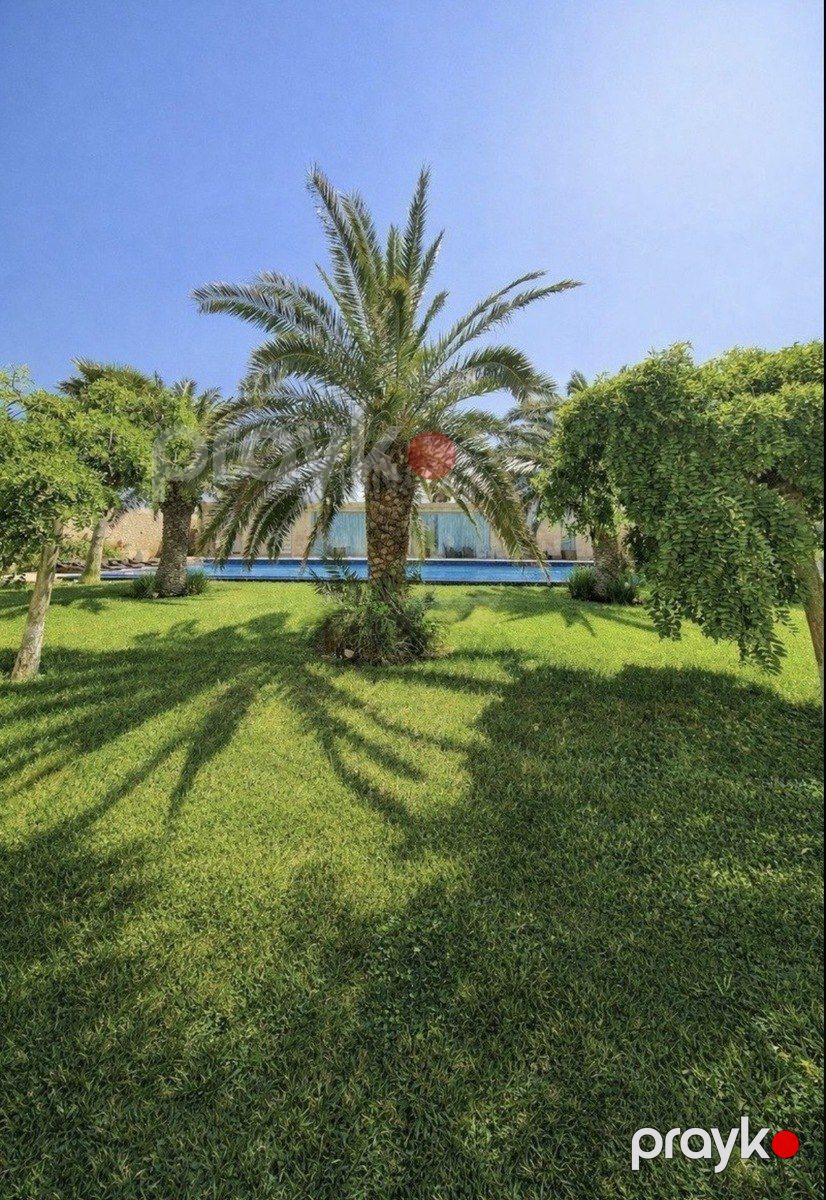 İcarəyə verilir 5 otaqlı həyət evi/bağ evi 320 m² — Ev, villa, Bakı (6)