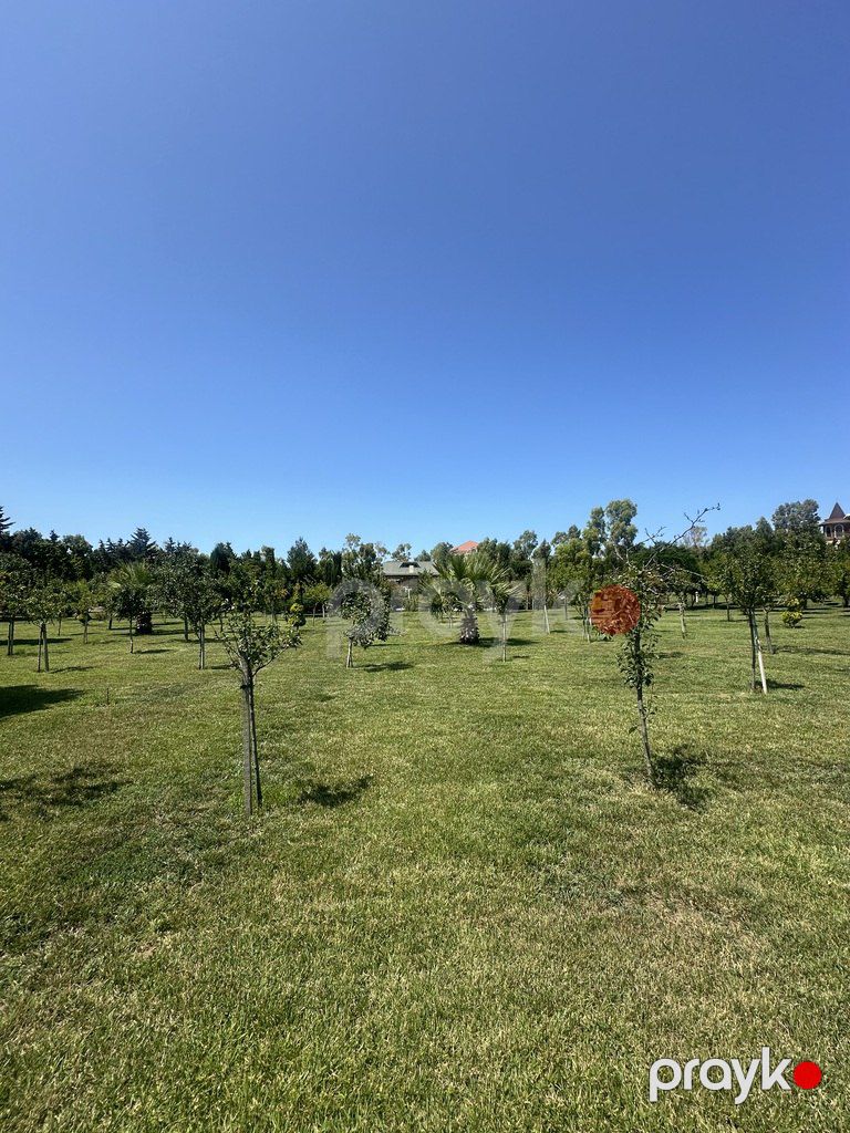 Satılır torpaq 9 sot — Torpaq, Bakı (7)
