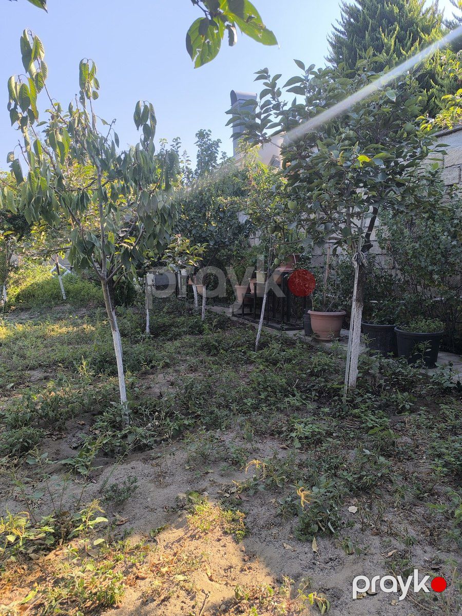 Satılır torpaq 5 sot — Torpaq, Bakı (5)