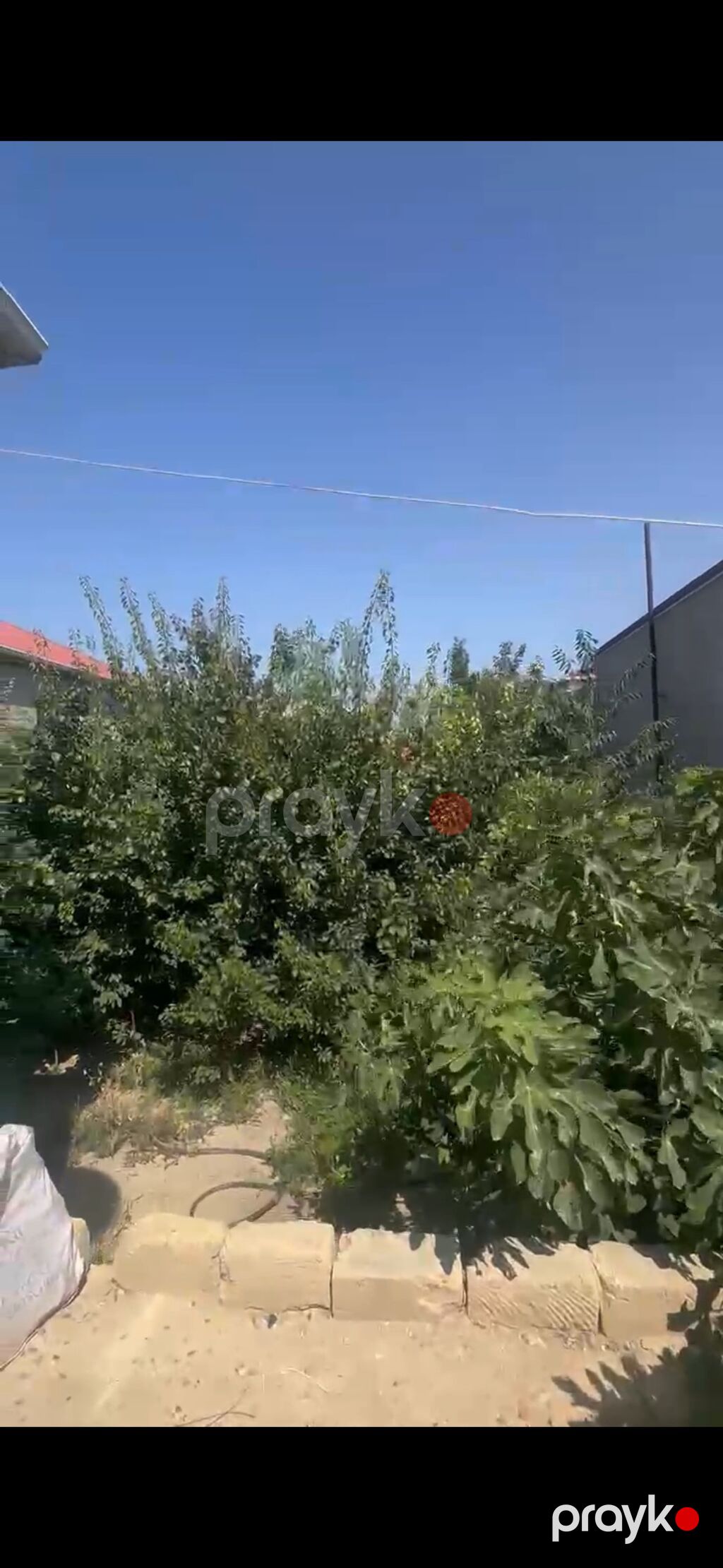 Masazırda 3 sotda paket kupça 6 nömrəli məktəbin yanı masazırın super — Ev, villa, Bakı (8)