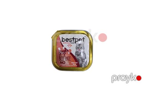 Nəm yem Bestpet pişiklər üçün, 100 q — Bakı
