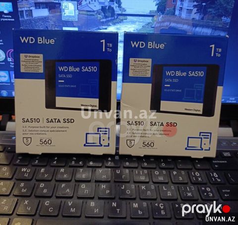 Ssd 1Tb Wd — Bakı
