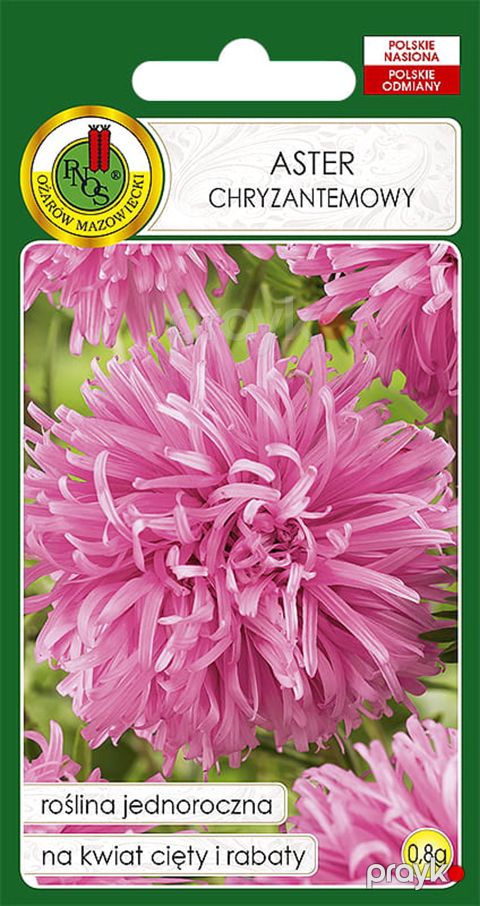 Çiçək toxumları Pnos Aster Chryzantemowy, 0.8 q — Bakı