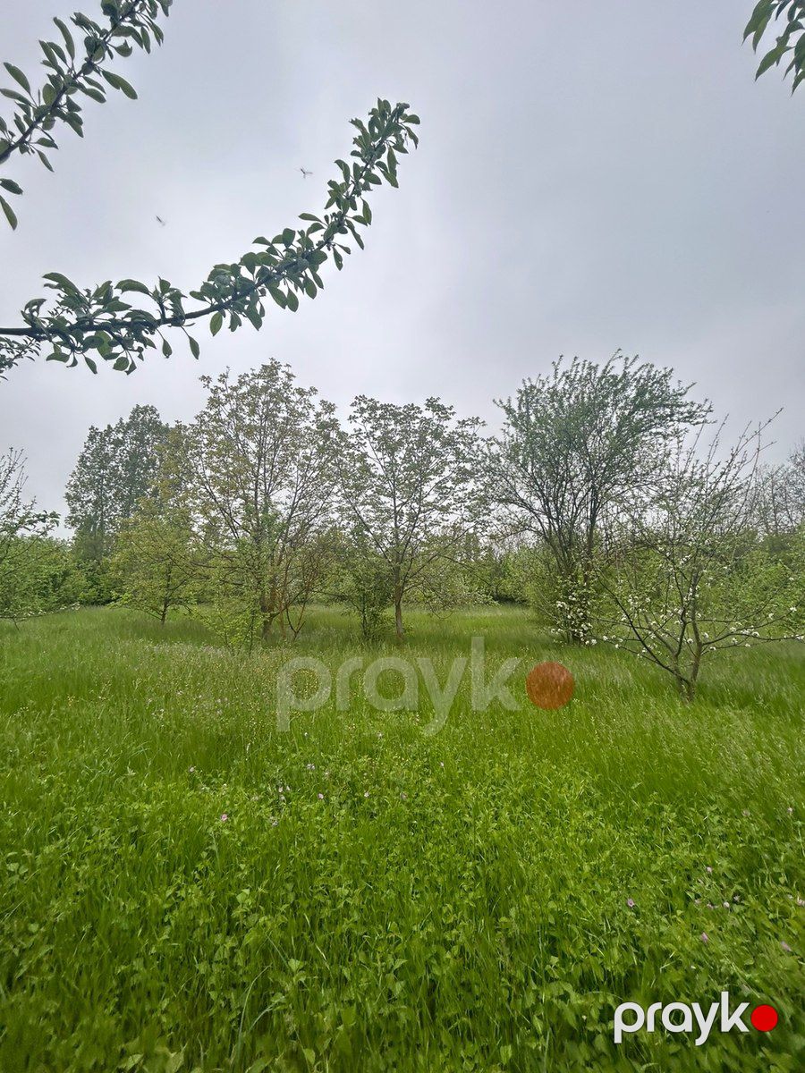 12 sot torpaq sahəsi, Qusar r — Torpaq, Qusar (4)