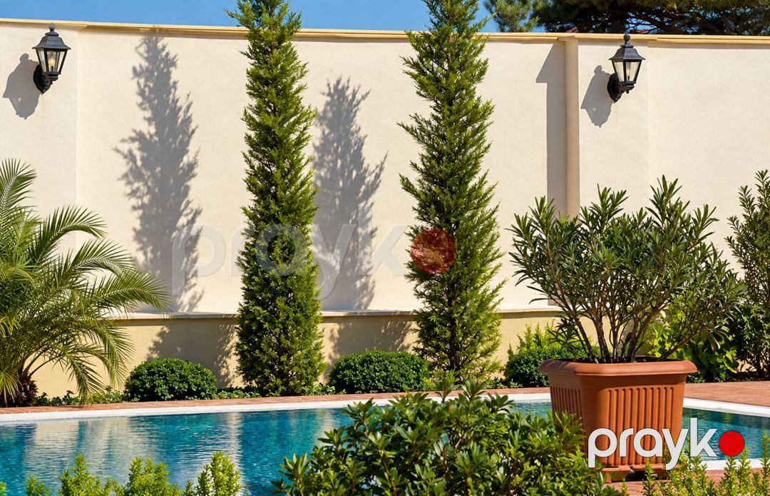 Villa, Mərdəkan qəs — Ev, villa, Bakı (9)