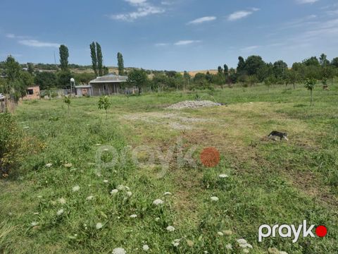 25 sot, Tikinti, Mülkiyyətçi, Kupça (Çıxarış) — İsmayıllı