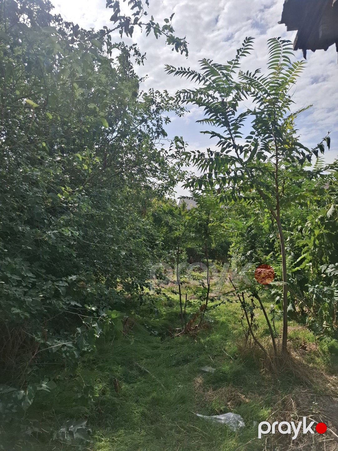 Satılır torpaq 7 sot — Torpaq, Bakı (8)