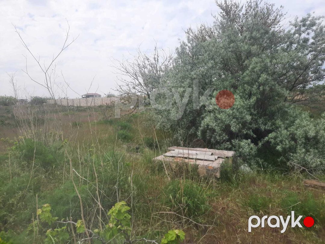 23 sot torpaq sahəsi, Maştağa qəs — Torpaq, Bakı (5)