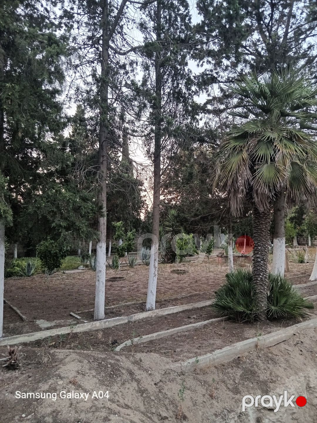 14.6 sot torpaq sahəsi, Mərdəkan qəs — Torpaq, Bakı (3)