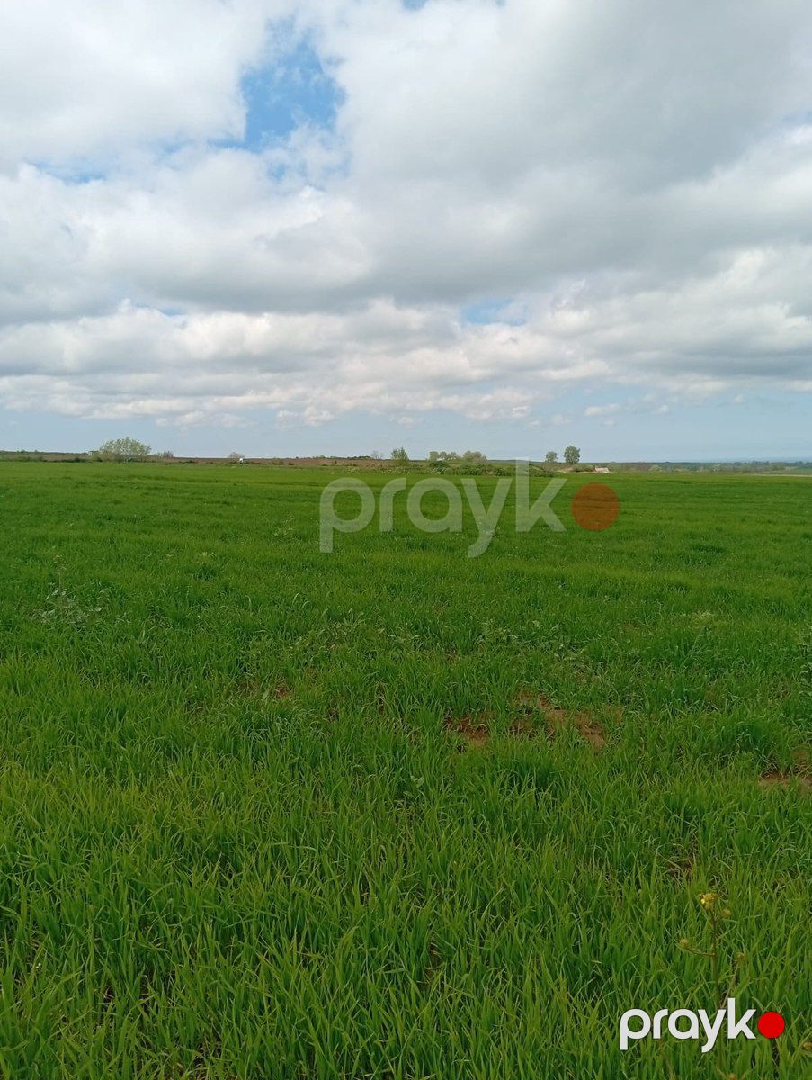 10000 sot torpaq sahəsi, Qusar r — Torpaq, Qusar (3)