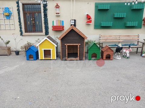 İt və pişik yuvası — Bakı