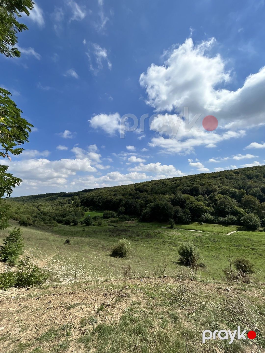 İcarəyə verilir 3 otaqlı həyət evi/bağ evi 100 m² — Ev, villa, Qusar (11)