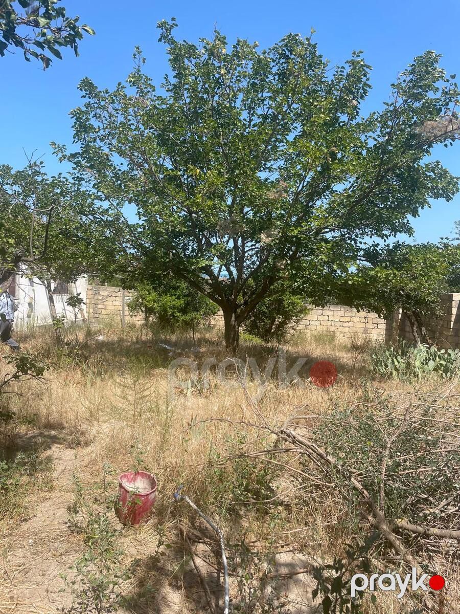 Satılır torpaq 14 sot — Torpaq, Bakı (2)