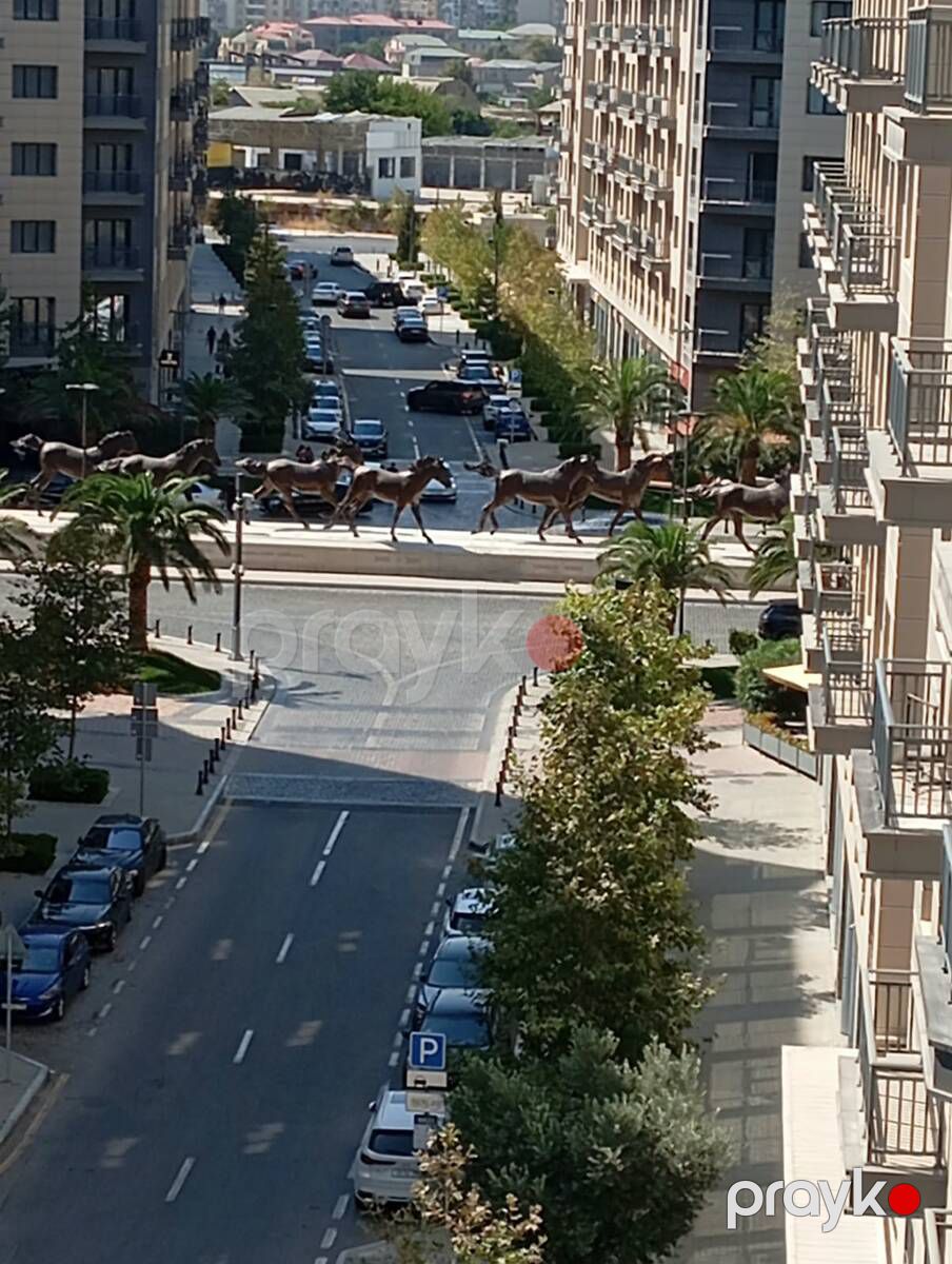 Satılır 4 otaqlı yeni tikili 215 m² — Mənzil, Bakı (3)