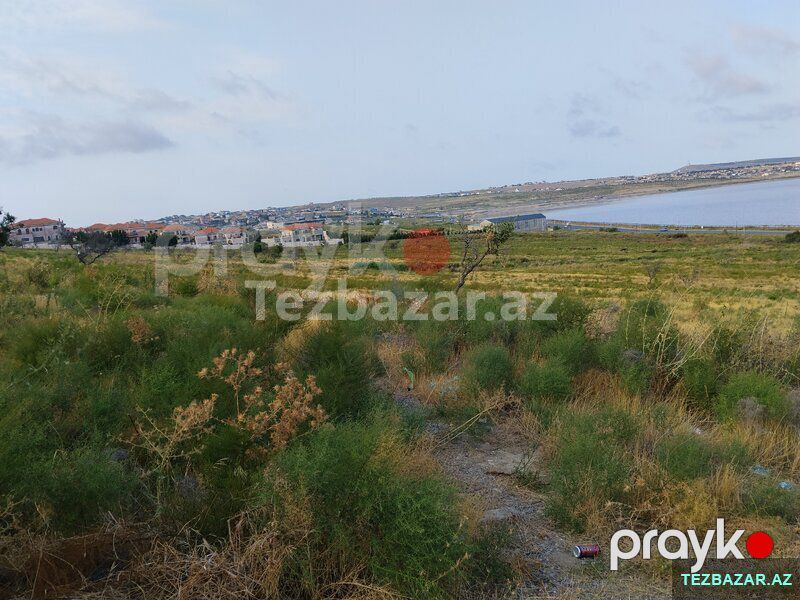 3.68 hektar yaşayis menteqesi torpaĝíl — Torpaq, Bakı (5)