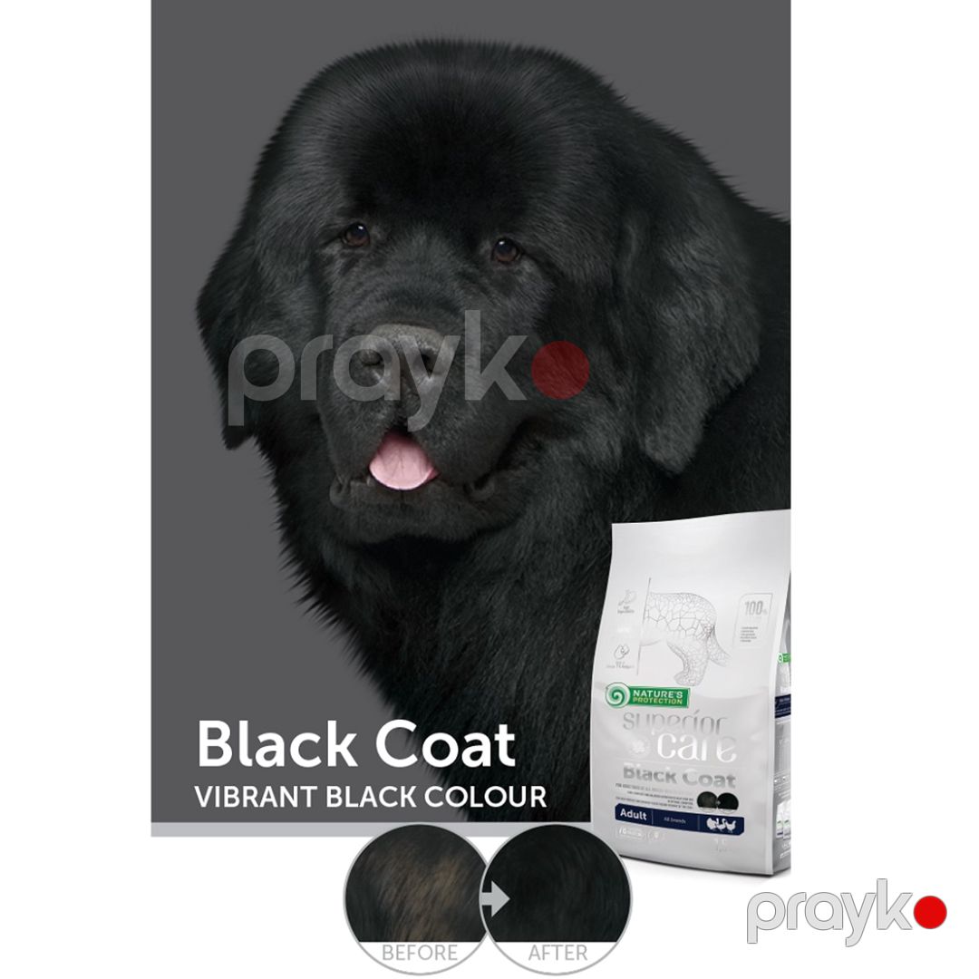 Balanslaşdırılmış tam rasion quru yem Nature's Protection Superior Care Dark Coat Poultry, bütün cins yetkin itlər üçün, quş əti ilə, 1.5 kq — Mallar, Bakı (2)