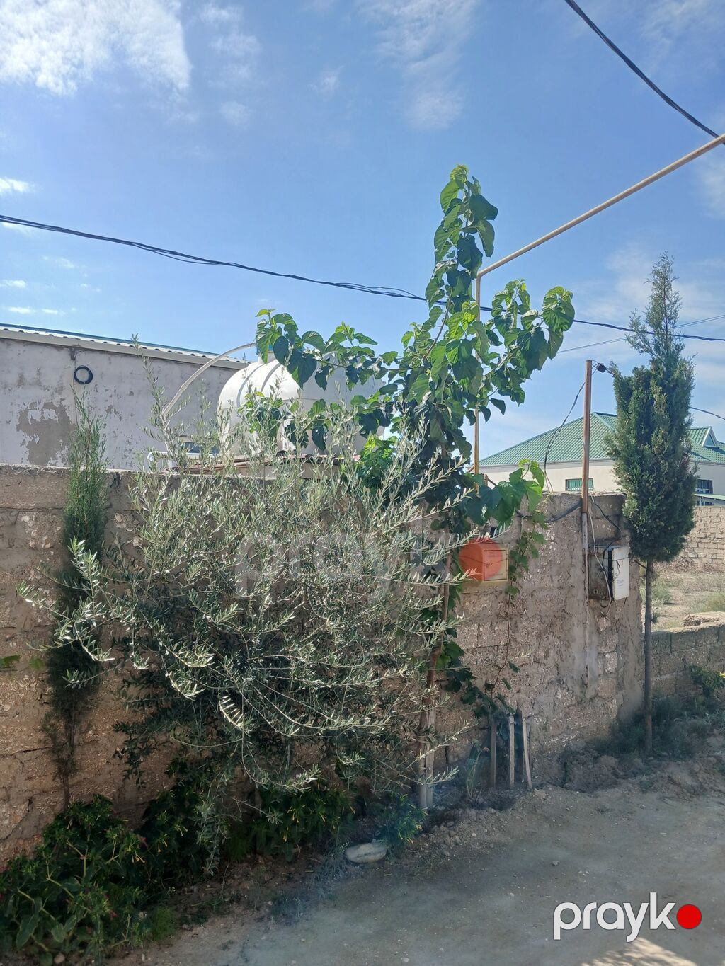 Həyətyanı sahəli həyət evi 2. Təsvir: - Daş hasarla əhatələnmiş — Ev, villa, Digah (6)