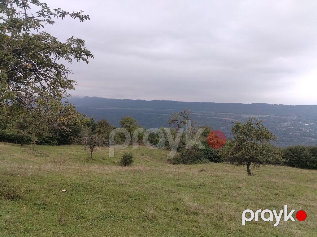 Kənd təsərrüfatı, Mülkiyyətçi, Kupça (Çıxarış) — Torpaq, Qusar (2)