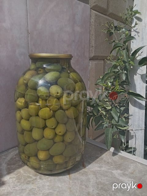 Zeytun — Bakı