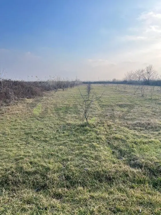 75 sot Torpaq Satılır, Göyçay — Torpaq, Göyçay (4)