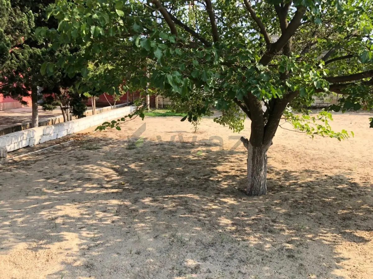 4 otaqlı Həyət evi Kirayə (günlük), Fatmayı, Abşeron — Ev, villa (5)