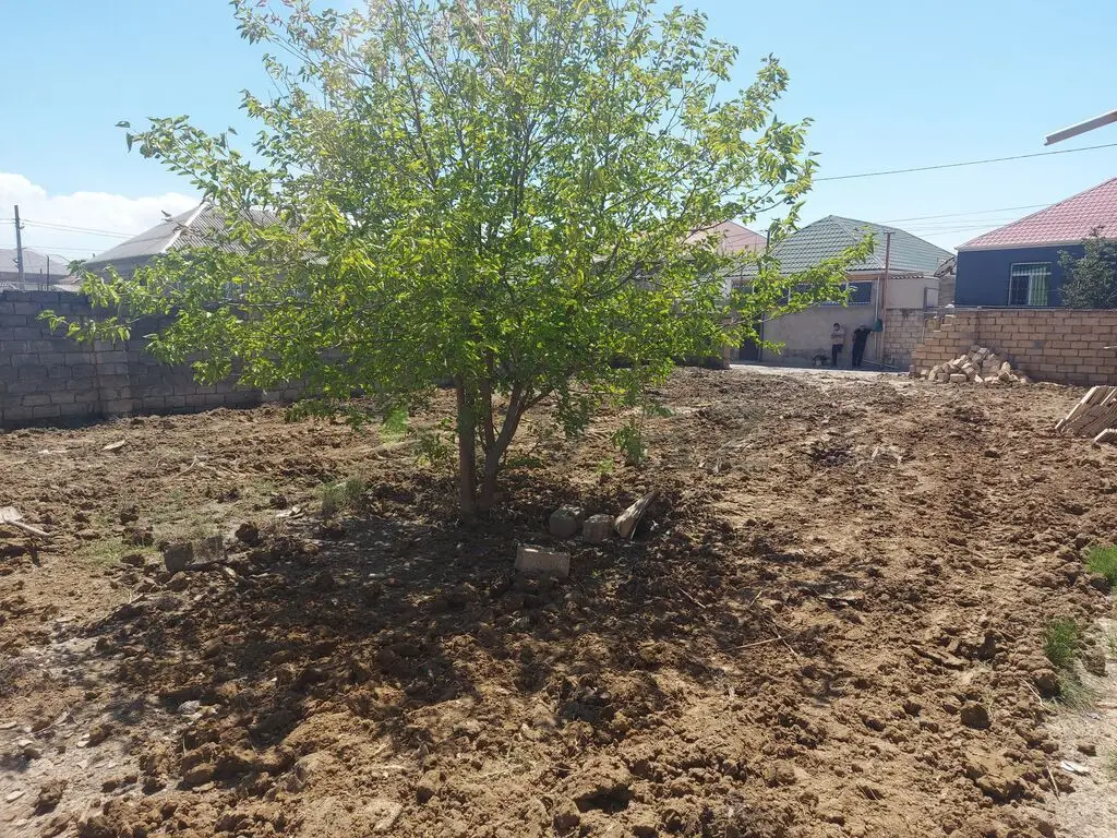 4 sot Torpaq Satılır, Saray, Abşeron — Torpaq (2)