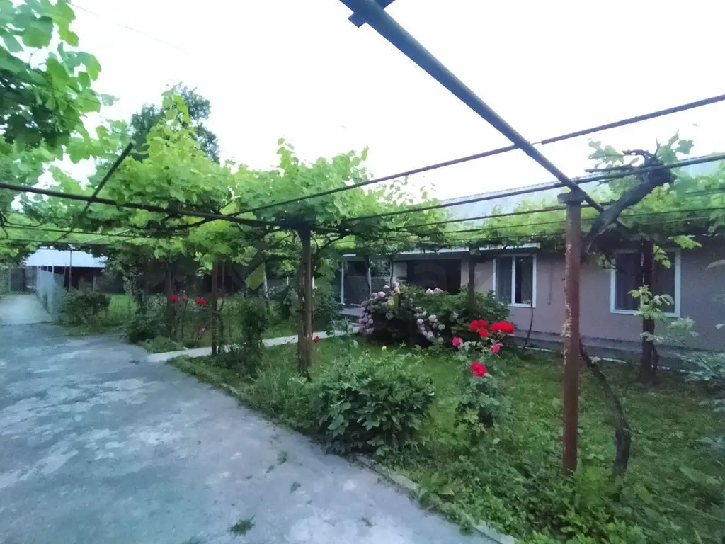 4 otaqlı Həyət evi Kirayə (günlük), Qax — Ev, villa, Qax (2)