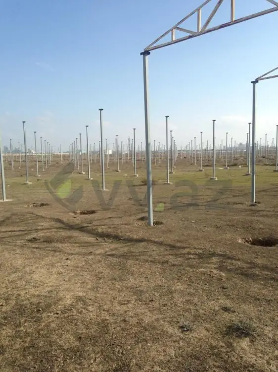 120 sot Torpaq Satılır, Novxanı, Abşeron — Torpaq (7)