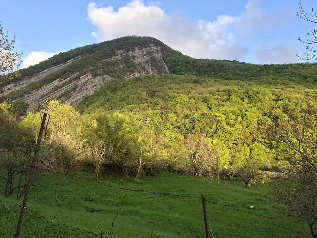 5 sot Torpaq Satılır, Şamaxı — Şamaxı