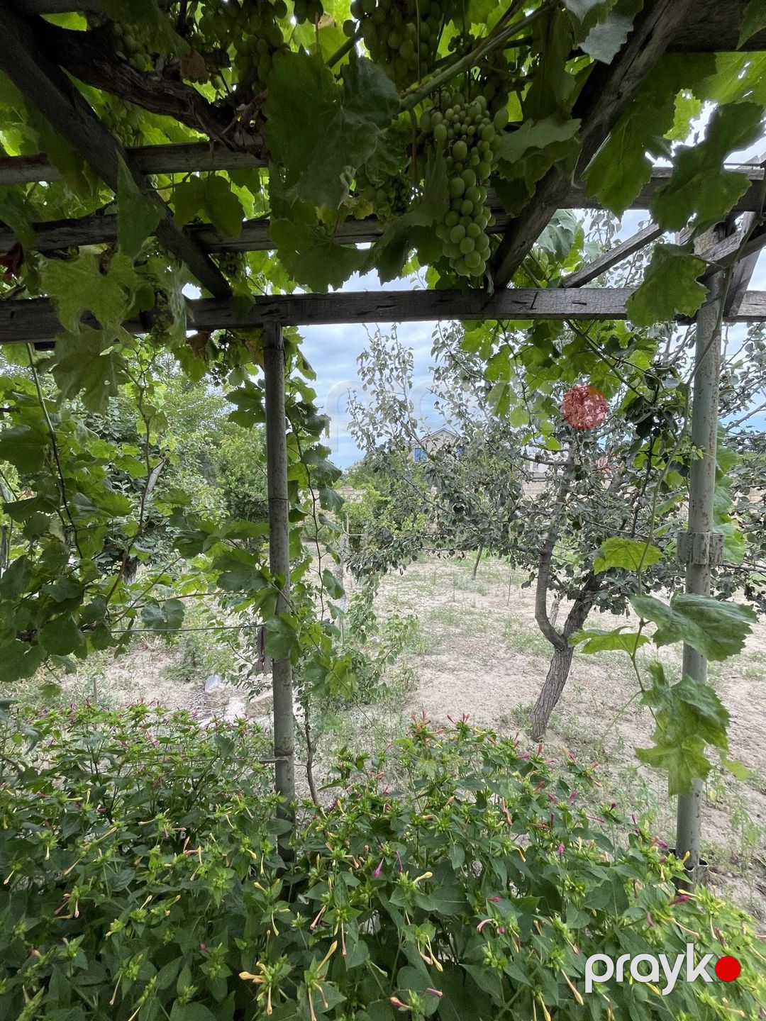 Satılır 5 otaqlı həyət evi/bağ evi 280 m² — Ev, villa, Sumqayıt (3)