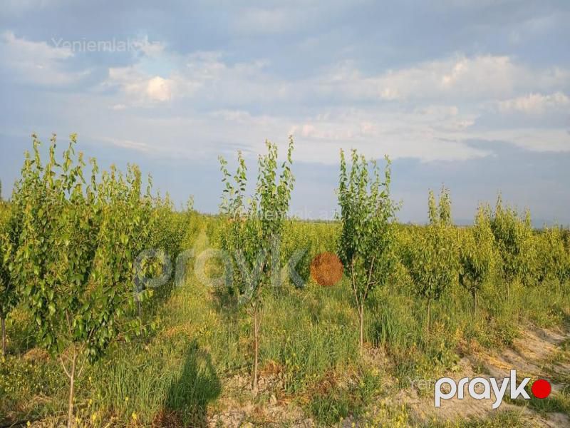 Satılır Torpaq sahəsi, 373 sot, Quba — Torpaq, Quba (7)