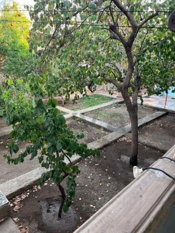 4 otaqlı Həyət evi Satılır, Gəncə — Ev, villa, Gəncə (5)