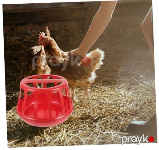 Yem təknəsi toyuq və cücə üçün, plastik prl_0400 — Mallar, Bakı (2)