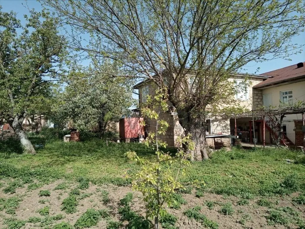 4 otaqlı Həyət evi Satılır, Şamaxı — Ev, villa, Şamaxı (12)