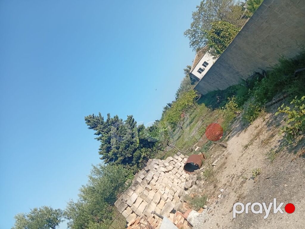 21 sot, Tikinti, Kupça (Çıxarış) — Torpaq, Bakı (9)