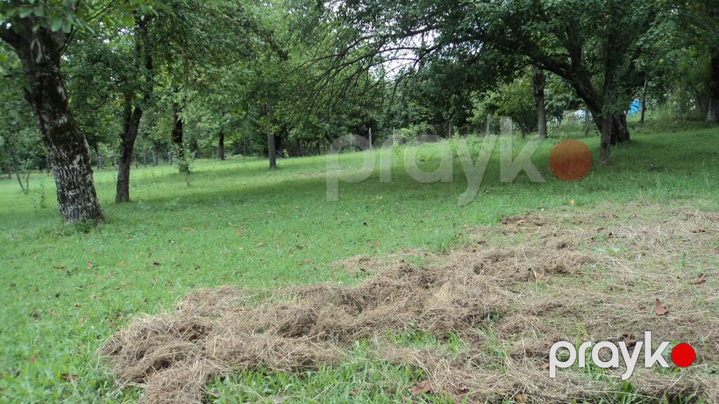 17 sot, Tikinti, Mülkiyyətçi, Kupça (Çıxarış) — Torpaq, Qəbələ (2)