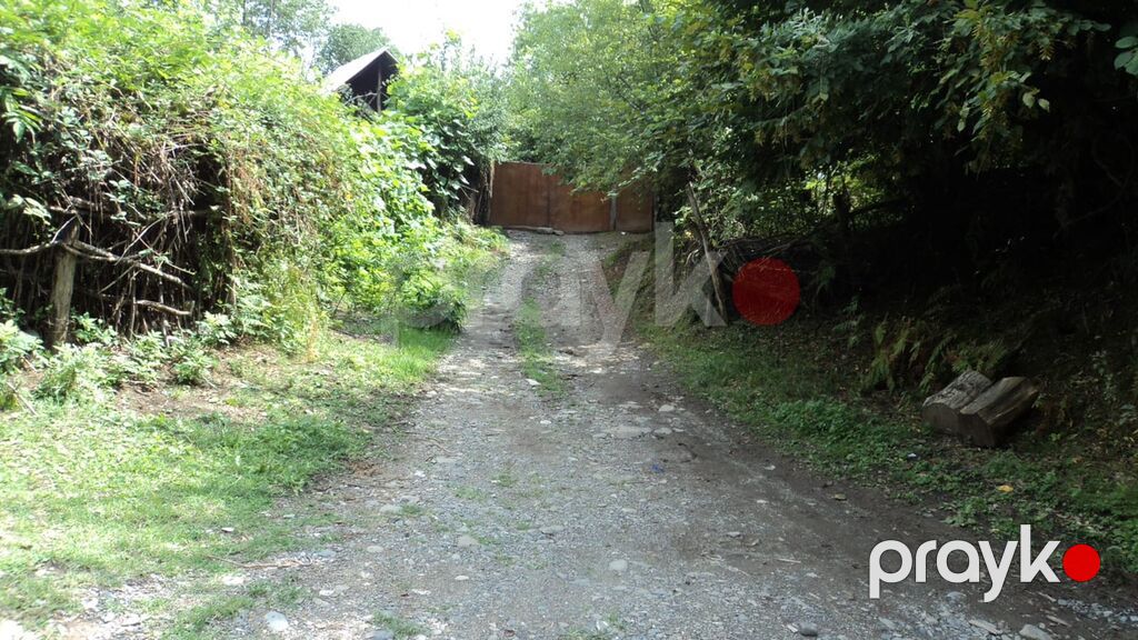 17 sot, Tikinti, Mülkiyyətçi, Kupça (Çıxarış) — Torpaq, Qəbələ (7)
