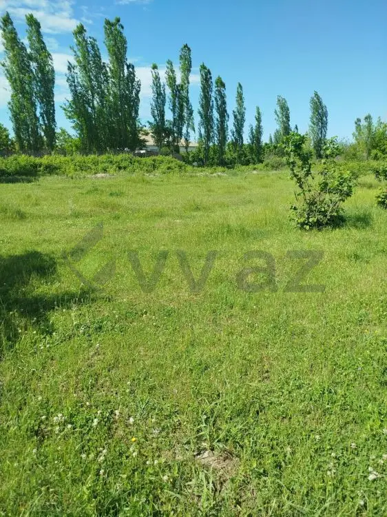 12 sot Torpaq Satılır, Şabran — Şabran