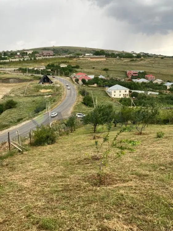 12 sot Torpaq Satılır, Şamaxı — Torpaq, Şamaxı (2)